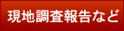 現地調査報告など